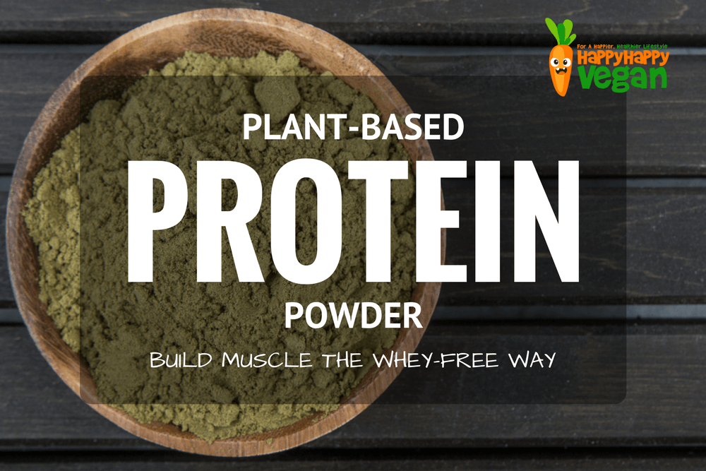 BOWL OF PLANT-BASED PROTEIN POWDER