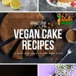 The Most Incredible Vegan Cake Recipes Anywhere On The 'Net!