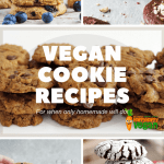 27 Amazing Vegan Cookie Recipes To Satisfy Even The Sweetest Tooth!