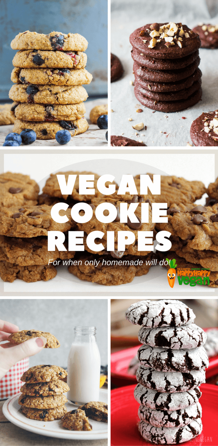 27 Amazing Vegan Cookie Recipes To Satisfy Even The Sweetest Tooth!