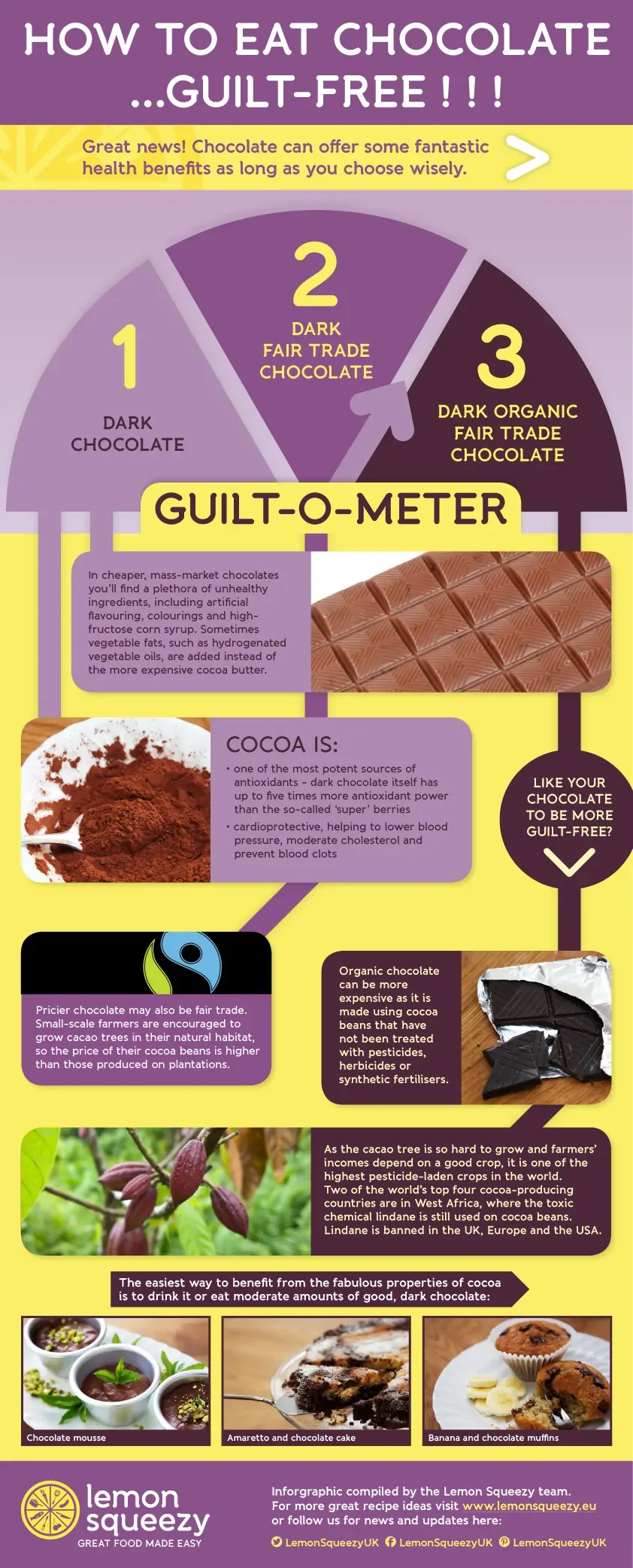 guilt-free chocolate infographic