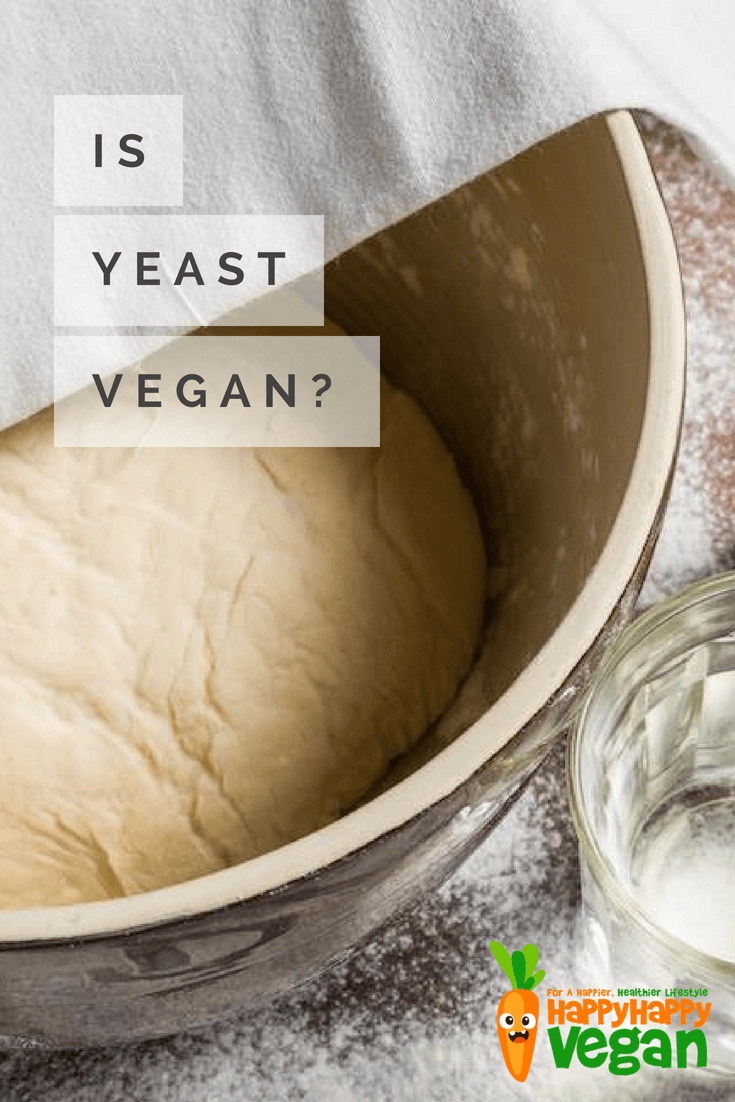 vegan yeast dough in a bowl