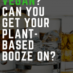 Pinterest image for "can vegans drink alcohol?" post