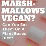 pinterest image for "can vegans eat marshmallows?" article