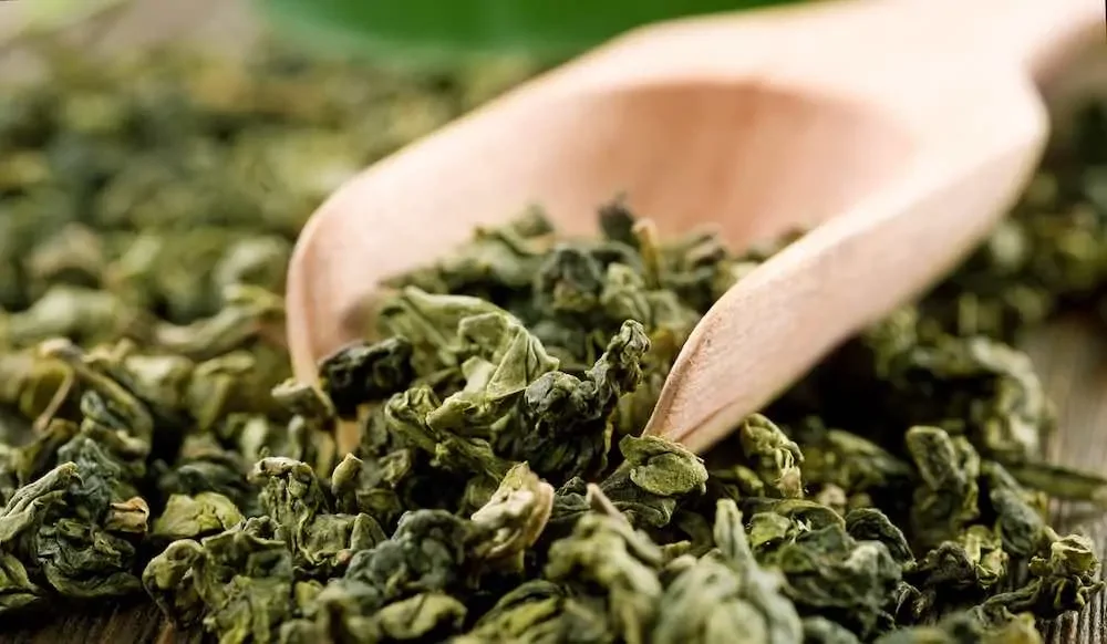 wooden scoop of dried loose leaves: history of green tea