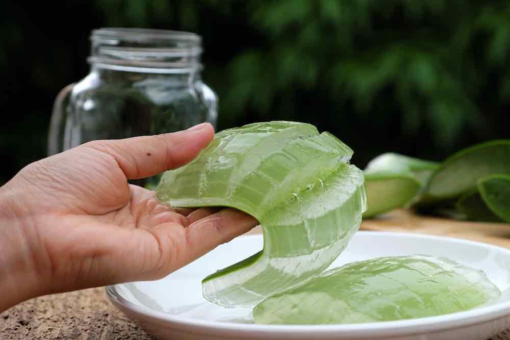 what is aloe vera gel? man holds natural aloe vera slices