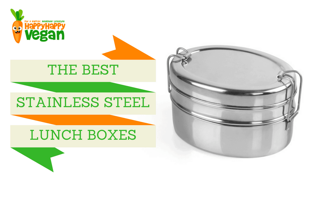 2-Tier Tiffin Lunch Box, Raja Domed Stainless Steel, Multiple
