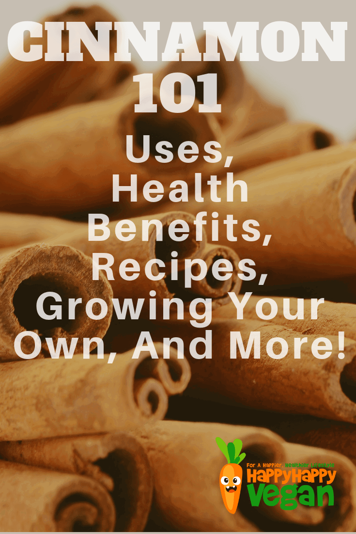 Cinnamon Health Benefits (Plus Recipes & Remedies)