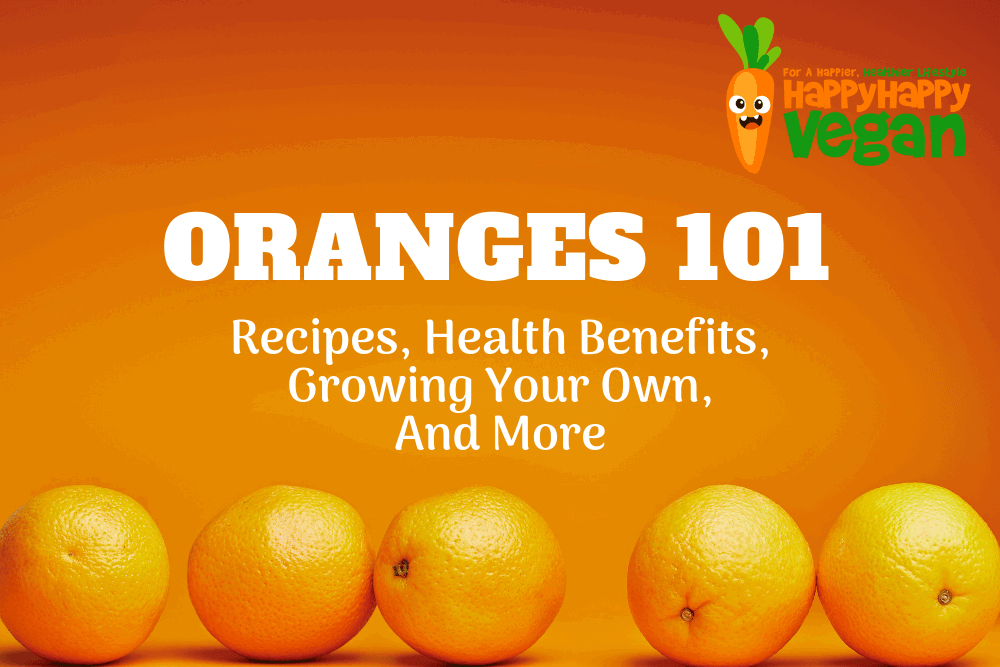 Oranges 101: Recipes, Health Benefits, Growing Your Own, And More